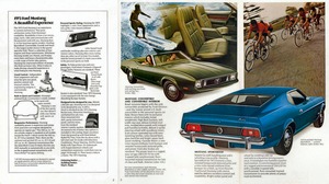 1973 Ford Mustang-02-03.jpg